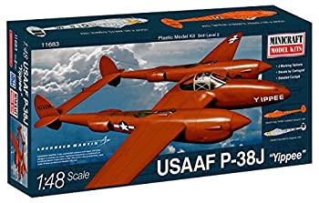 プラッツ 1/48 第二次領域戦争状態 亜米利加正規陸軍飛翔軍 P-38J YIPPEE プラモデル（中古品）
