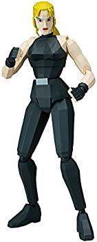 figma バーチャファイター サラ・ブライアント ノンスケール ABS&amp;PVC製 塗装済み可動フィギュア（中古品）