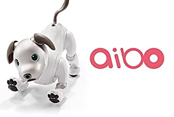 SONY AIBO ERS-1000　アイボーン付属（中古品）