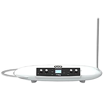moog THEREMINI テルミニ MG ETHERWAVE THEREMINI テルミン