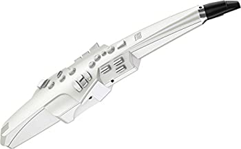 ローランド ウィンド・シンセサイザーRoland AEROPHONE AE-10（中古品）