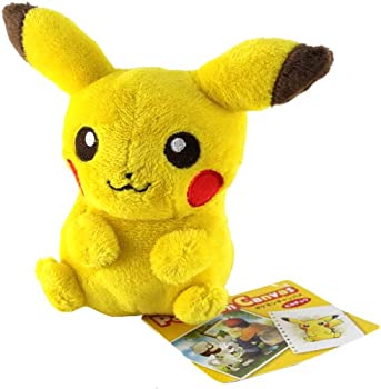 ポケモンセンターオリジナル　ぬいぐるみ　ポケモンキャンバス　ピカチュウ（中古品）の通販は 4,947円