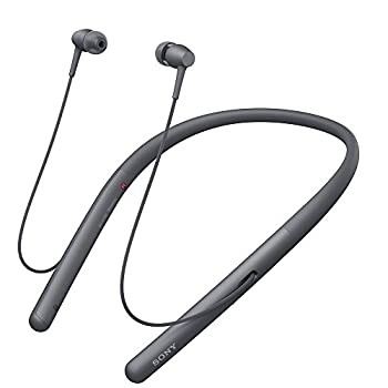 ソニー SONY ワイヤレスイヤホン h.ear in 2 Wireless WI-H700 : Bluetooth/ハイレゾ対応 最大8時間連続再生 カナル型 マイク付き 2017年