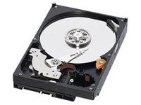 WD Caviar Blue 1TB(中古品)の通販は