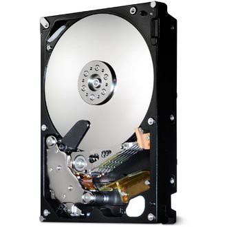 日立GST Deskstar 7K1000.B(1TB/SATA3G/7200rpm/16MB) HDT721010SLA360-R(中古品)の通販は