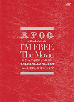 Ｉ’Ｍ　ＦＲＥＥ　Ｔｈｅ　Ｍｏｖｉｅ−形ないものを爆破する映像集− [DVD]（中古品）