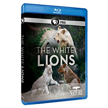 Nature: the White Lions [Blu-ray] [Import]（中古品）