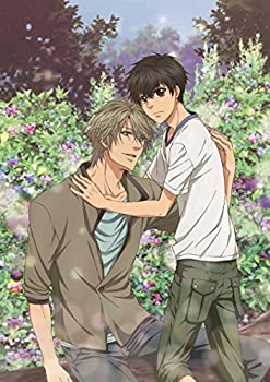 SUPER LOVERS 2第5巻限定版 [Blu-ray]（中古品） 8,559円