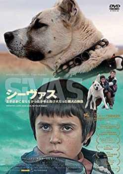 シーヴァス SiVAS [DVD]（中古品）