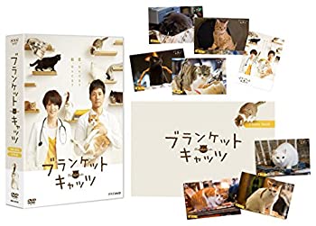 ブランケット・キャッツ DVD-BOX（中古品）