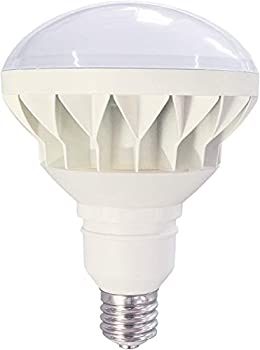 調光調色LED電球 E39電球 E39 LED電球 400W~500W東芝、岩崎ランプホルダーE39対応 Par56 バラストレス電球 60W E39 水銀灯 スイッチのON/OFFで調（中古品）