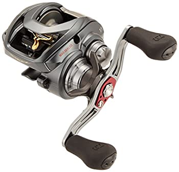 ダイワ(DAIWA) リール スティーズ A TW 1016SHL（中古品）の通販は