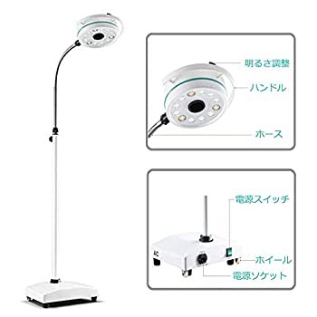 TopSeller歯科 LEDライト・ランプ フロアランプ LED無影灯 360度回転 スタンド式 照明器 デンタル用 フロアスタンド LED電球12個 土台付