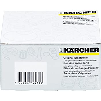 ケルヒャー(KARCHER) ノズルチップ 25度 パワーノズル ノズルサイズ 038 2.883-805.0（中古品）
