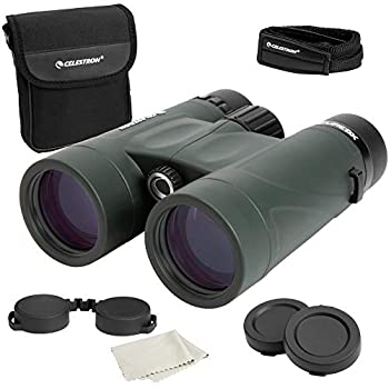 Celestron 71332 DX Jumelles Vert 8 x 42（中古品）