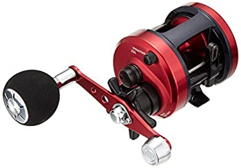 ダイワ(Daiwa) ベイトリール 17ダイナスター 250 タコ釣り・タイラバなど（中古品）