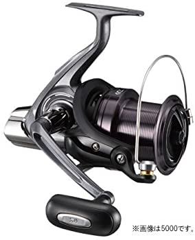 ダイワ(Daiwa) スピニングリール 17クロスキャスト 4000（中古品）