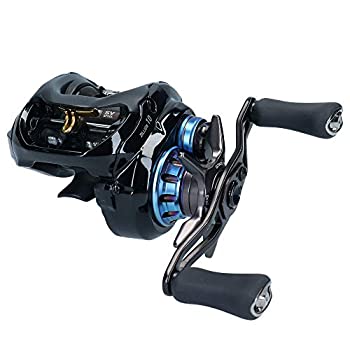 ダイワ(DAIWA) ベイトリールジリオン SV TW 10.0L 2020モデル（中古品）