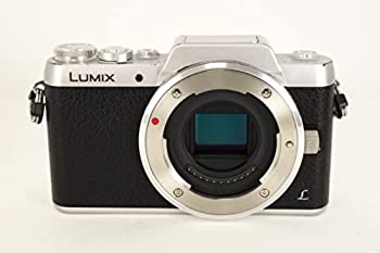 Panasonic ミラーレス一眼カメラ DMC-GF7 ボディ単体(ブラック×シルバー)（中古品）