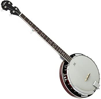 ARIA アリア ５弦バンジョー REMO Banjo Head　SB-10（中古品）