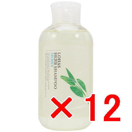 ★【送料無料】 テクノエイト ／ ロハスハーブシャンプー （モイスト） 300ml 【12個セット】