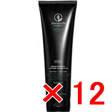 送料無料 ポールミッチェル／AWAPUHI WILD GINGER ／AWG モイスチャライジング ラザーシャンプーJ250mL 12個 [
