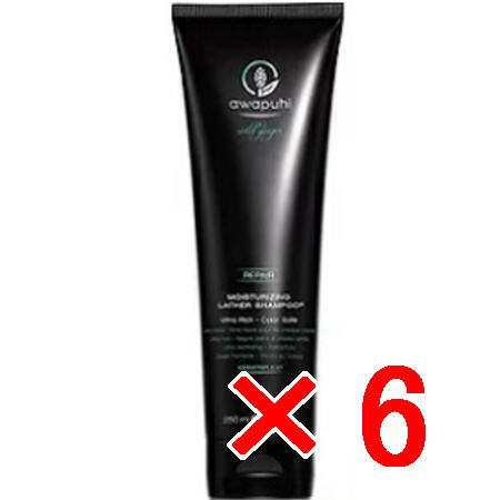 送料無料 ポールミッチェル／AWAPUHI WILD GINGER ／AWG モイスチャライジング ラザーシャンプーJ250mL 6個 [