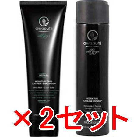 送料無料 ポールミッチェル／AWAPUHI WILD GINGER ／AWG モイスチャライジング ラザーシャンプーJ250mL ＆