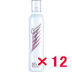 ミアンビューティー ／  ウェットフォーム 300g【12個】