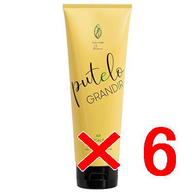 プテロ putelo ／ プテロ AR ヘア ＆ スカルプ パック グランディール 240g【6個セット】／ スカルプ トリートメント ／ 頭皮