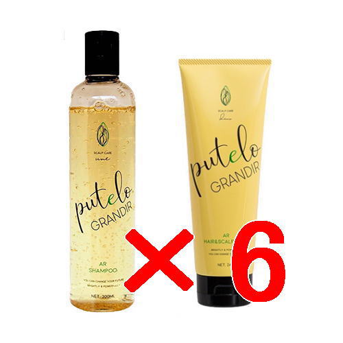 プテロ putelo ／ グランディール シャンプー 300ml ＋ グランディール ヘア＆スカルプパック 240ml【6セット】