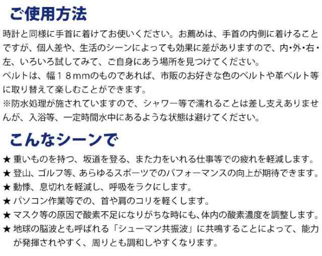 ゼロリストゴールド ゼロ磁場発生装置 能力発揮 パワーグッズ 磁気