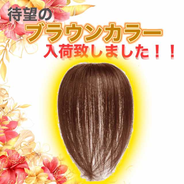 ウィッグ 頭頂部ウィッグ 部分ウィッグ ヘアピース 自然 つむじ 分け目 レディース ボリューム カツラ つけ毛の通販はau PAY マーケット -  Enter Key