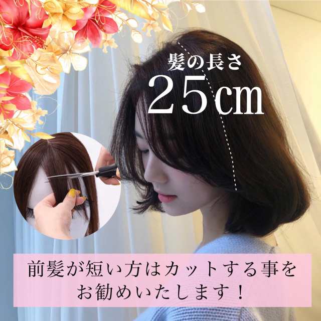 頭頂部 ウィッグ ライト ブラウン 25cm ヘアピース 部分 かつら つむじ 