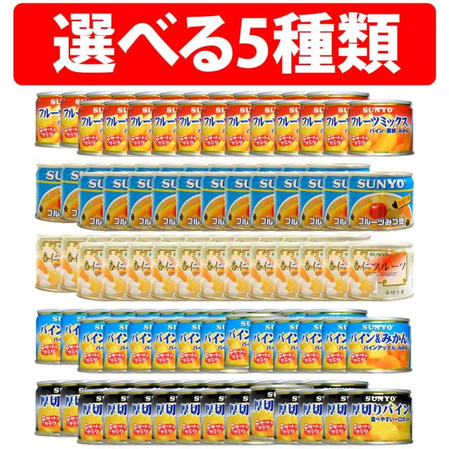 Amazon.co.jp: サンヨー SUNYO チキンドライカレー 185g×24缶