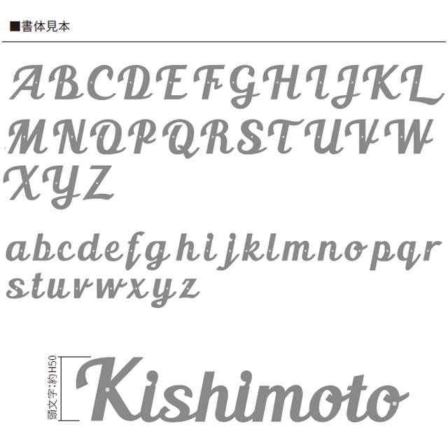 選べる塗装 表札 サイン ステンレス 切り文字 丸三タカギ イエロゴ リーシュ LEA-M1_2