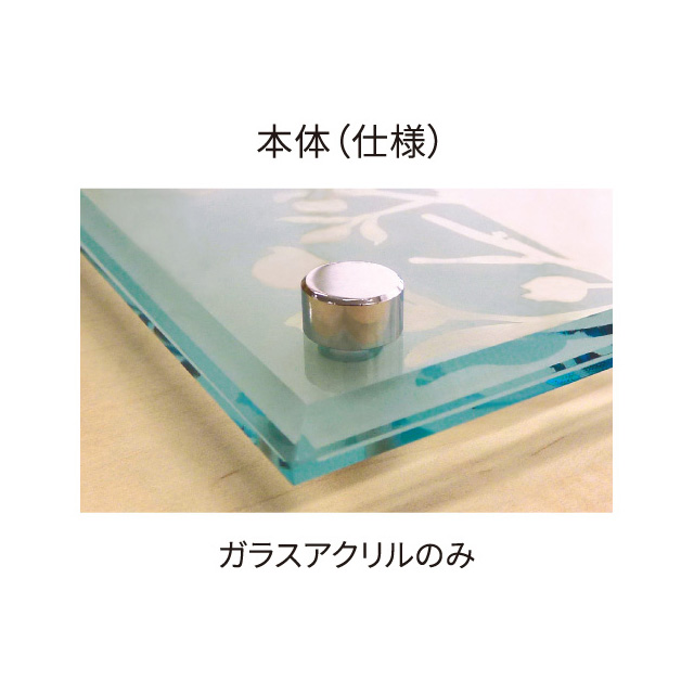 丸三タカギ 銘板 看板 表札 イエロゴ ガラス調アクリルサイン MECM1 幅500mm×高さ300mm_6