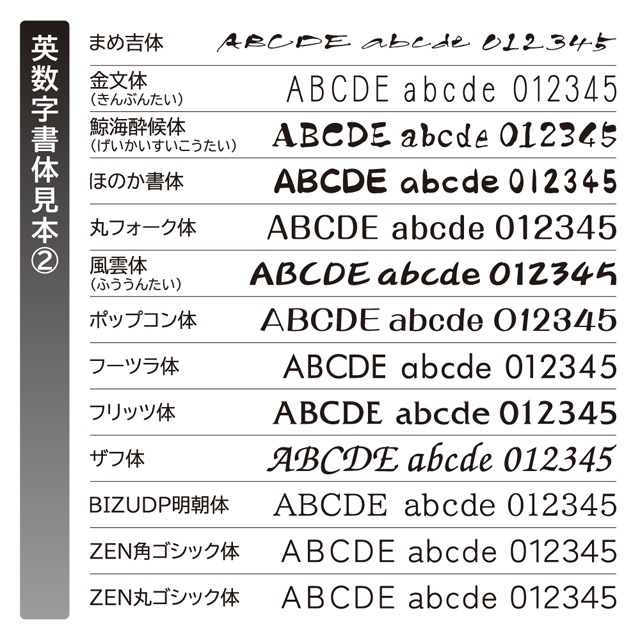 表札 チタニウムサイン WTNB 幅210mm×高さ40mm_10