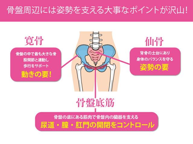 Micaco骨盤MOVEショーツ(ブラック/ローズベージュ) ダイエット 補整下着 シェイプインナー 美姿勢 引き締め 補正 その他ボディケア