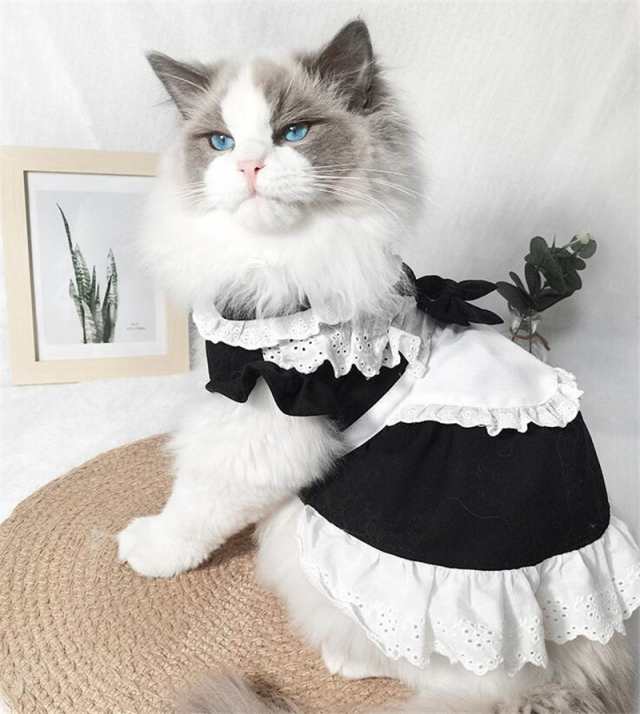 メイド ドッグウェア 犬の服 ボア 猫ちゃん あったか かわいい