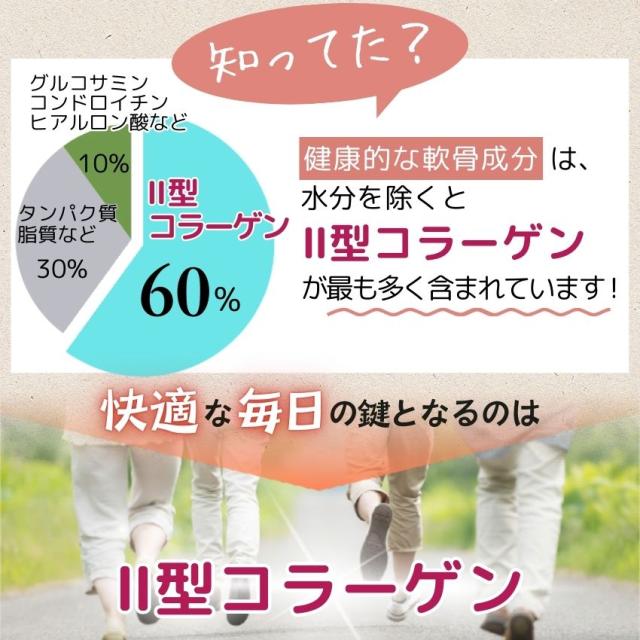 非変性2型コラーゲン UC-II 90日分｜お得な3個セット｜ コラゲンパワー II型コラーゲン サプリ MSM コンドロイチン配合 二型コラーゲン 人気 ランキング コラパワー 送料無料_4