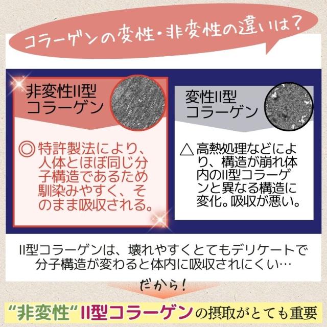 非変性2型コラーゲン UC-II 90日分｜お得な3個セット｜ コラゲンパワー II型コラーゲン サプリ MSM コンドロイチン配合 二型コラーゲン 人気 ランキング コラパワー 送料無料_5