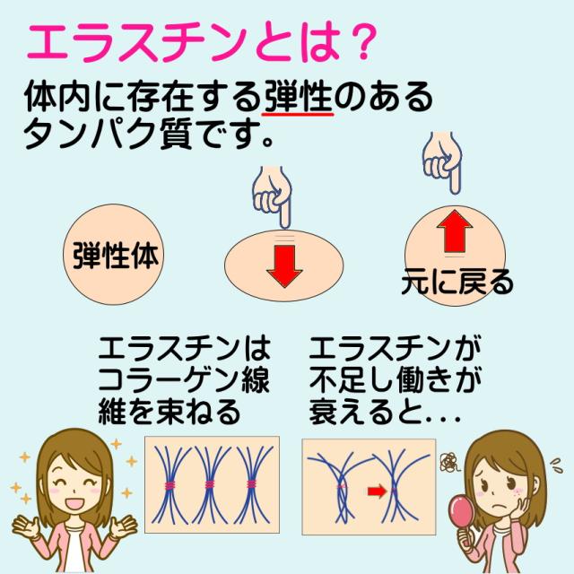エラスチン サプリ 360日分 (機能性表示食品) お得な6個セット コラーゲン ヒアルロン酸 カツオ エラスチン 肌 ハリ 弾力 バスト 魅力アップ エラスグラマ_2