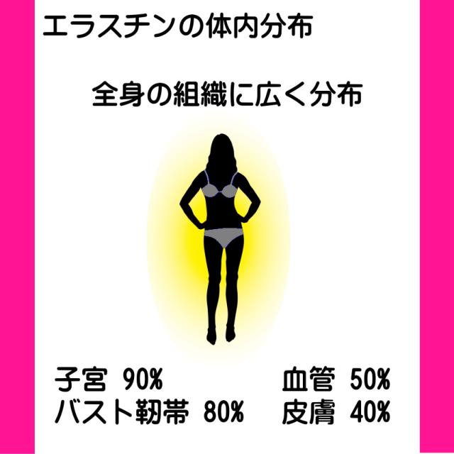 エラスチン サプリ 360日分 (機能性表示食品) お得な6個セット コラーゲン ヒアルロン酸 カツオ エラスチン 肌 ハリ 弾力 バスト 魅力アップ エラスグラマ_3