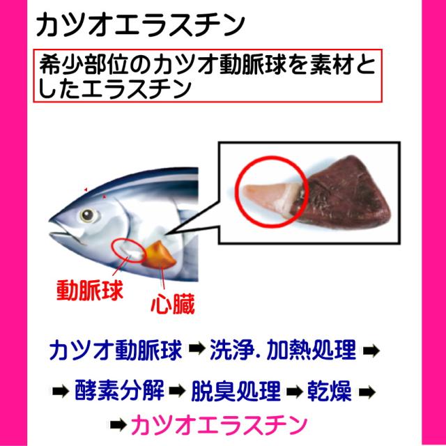 エラスチン サプリ 360日分 (機能性表示食品) お得な6個セット コラーゲン ヒアルロン酸 カツオ エラスチン 肌 ハリ 弾力 バスト 魅力アップ エラスグラマ_6