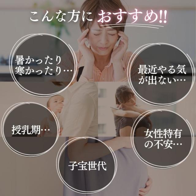 大豆イソフラボン +46成分 エクオール 産生成分｜お得な6個セット｜ 女性 サプリ エストロパワー イソフラボン サプリ エクオール 人気 ランキング 送料無料_3
