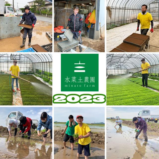 米 お米 もち米 精米 10kg (5kg×2袋) 秋田県産 きぬのはだ 令和7年産 古代米30g付き_5