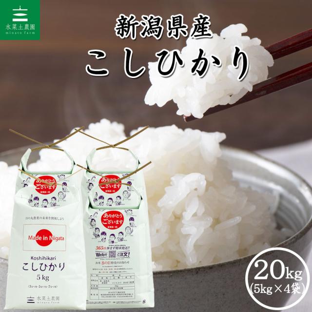 米 お米 こしひかり 精米 20kg (5kg×4袋) 新潟県産 白米 令和7年産 送料無料 / 選べるプレゼント付き khs20