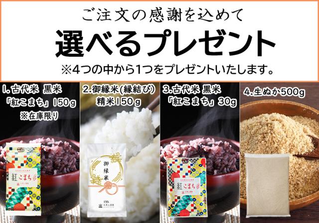 米 お米 あきたこまち 精米 25kg (5kg×5袋) 秋田県産 白米 令和7年産 送料無料 / 選べるプレゼント付き aks25