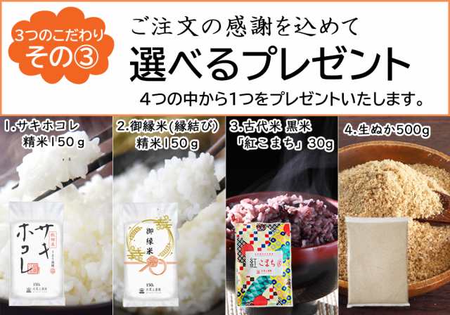 米 お米 10kg (5kg×2袋) 秋田県産 あきたこまち 白米 精米 令和6 米 お米 10kg (5kg×2袋) 秋田県産 あきたこまち 白米 精米 令和6